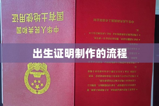 大观出生证明制作的流程