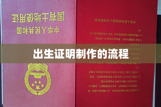 大观出生证明制作的流程