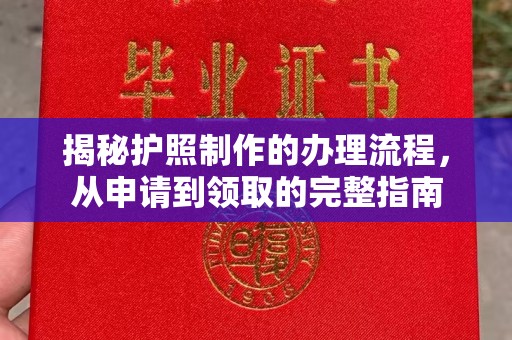 大观揭秘护照制作的办理流程，从申请到领取的完整指南