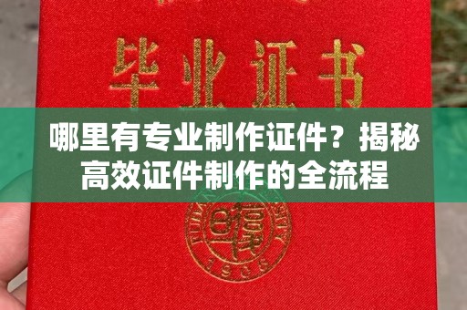 大观哪里有专业制作证件？揭秘高效证件制作的全流程