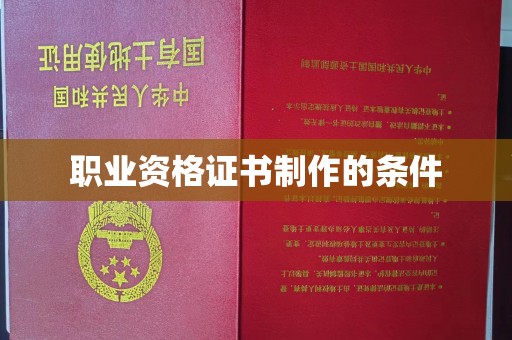 大观职业资格证书制作的条件