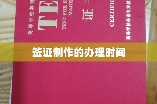 大观签证制作的办理时间