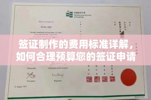 大观签证制作的费用标准详解，如何合理预算您的签证申请成本