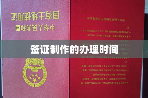 大观签证制作的办理时间
