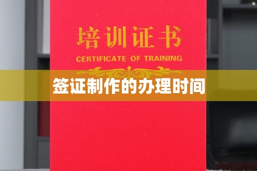 大观签证制作的办理时间